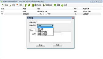 软格网站服务监控软件 v1.0.0.0官方版下载指南与软件服务介绍